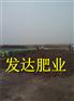 纯鸡粪批发