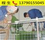 东莞望牛墩出租厂房变压器安装单位