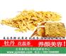 厂家直销承雨牡丹花蕊茶