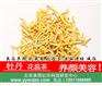 承雨牡丹花蕊茶的生物活性物质及功效