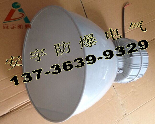 GC001-N70b1z防震吸顶灯70W/100W/150W&nbsp;&nbsp;电厂防眩泛光灯&nbsp;&nbsp;壁式三防吸顶灯&nbsp;&nbsp;加油站三防灯