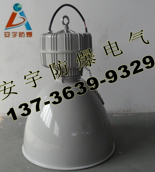 GC002防水防尘灯-250W 220V,GC002-250&nbsp;&nbsp;250W高顶灯&nbsp;&nbsp;防水防尘防腐灯&nbsp;&nbsp;防腐壁式三防灯