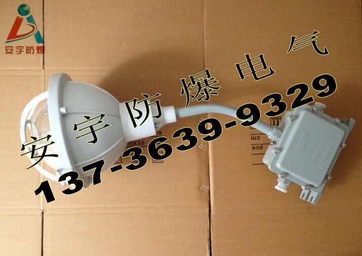 电子整流器FAD-S-70H1Z防腐灯具220V金卤灯70W&nbsp;&nbsp;IP65三防壁灯&nbsp;&nbsp;70W工厂弯管灯&nbsp;&nbsp;WF2防腐电厂灯