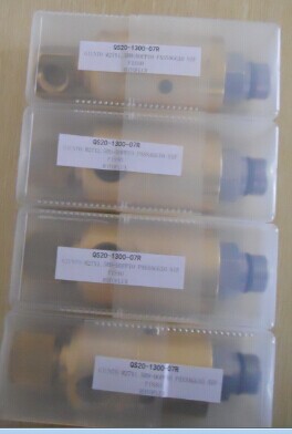 ROTOFLUX可旋转接头S10-1500-03F-810  意大利旋转接头