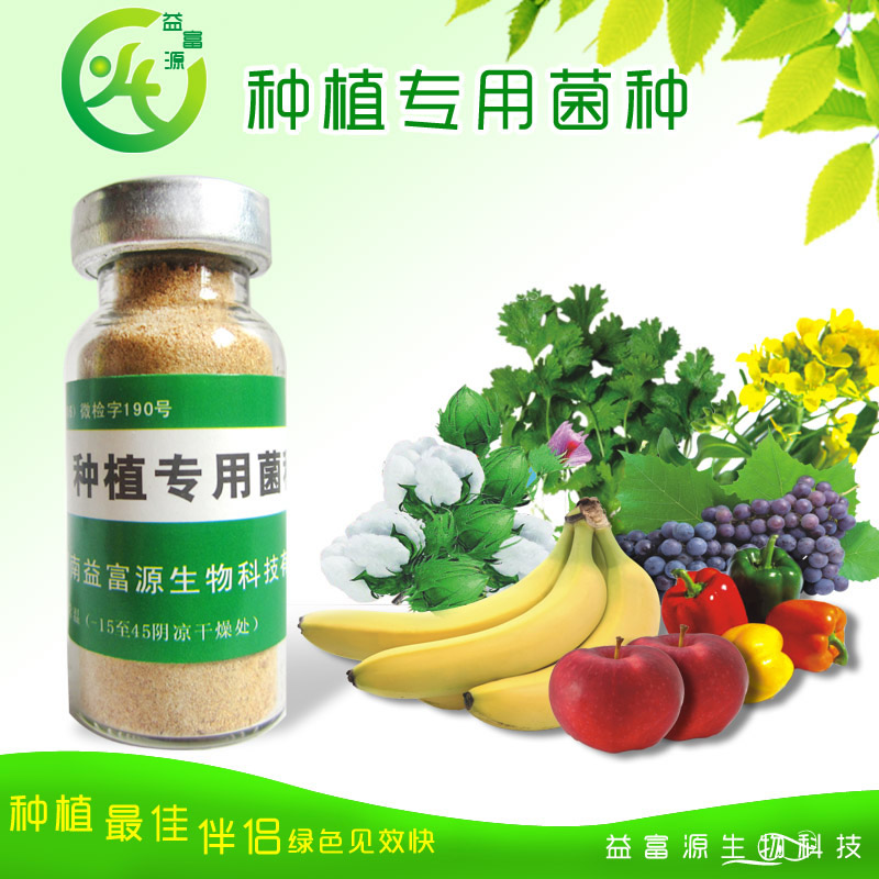 广州哪里卖芽苗菜益生菌营养液怎么购买