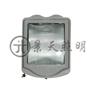 NSC9100防眩通路灯|NFC9100?
