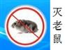 淮南灭鼠公司怎样消灭从天花板上下来的老鼠