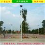 保山市球场电杆批发 篮球场电杆厂家  锥形球场电杆