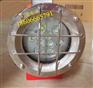 DGY9/36L(A)矿用机车灯 9W/18W/24W机车灯