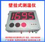 供应钢铁熔炼测温仪器 南京明睿XYBG-2000型
