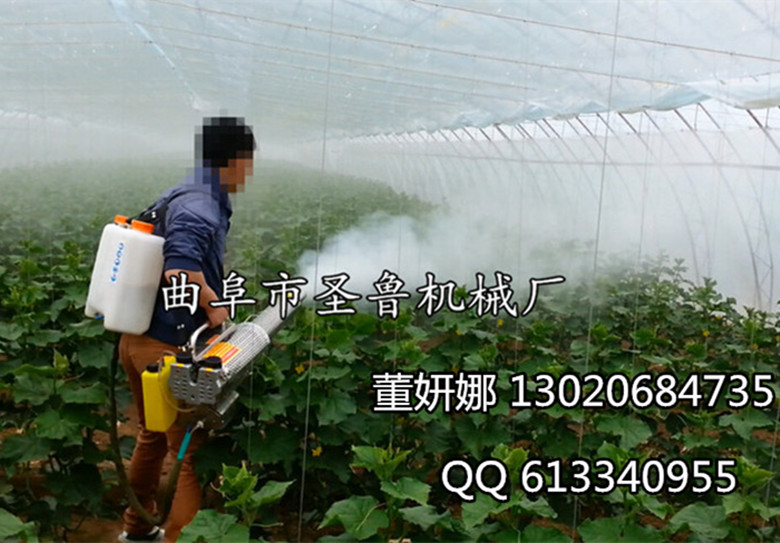 蔬菜打药杀虫弥雾机 背负式弥雾机  弥雾机价格  弥雾机图片  曲阜弥雾机厂家