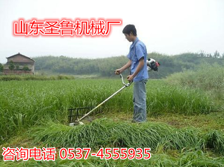 剪草机 剪草机价格 剪草机图片  剪草机报价  曲阜剪草机厂家
