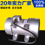 ZF18-50混凝土平板振动器 0.18KW&nbsp;&nbsp;振动电机