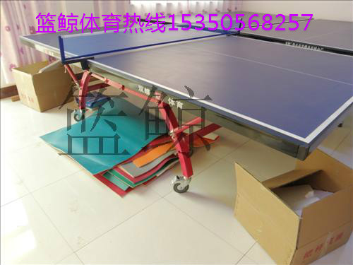 家用乒乓球台批发厂家质量高外观美价格合理