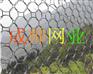 衡水高质量的裹塑边坡防护网【特价供应】，裹塑边坡防护网供销