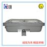 SBF6108长寿顶灯 无极灯 厂灯 工作灯 厂家批发