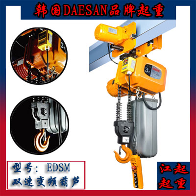 韩国大山起重机 EDSM双速变频电动葫芦 原装正品 双速电动葫芦 电动吊车