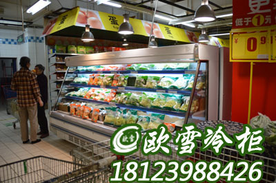 南充菜市场用的蔬菜风幕柜哪里有卖