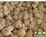 宁波进口台湾蜜饯代理|食品进口清关|进口食品审价