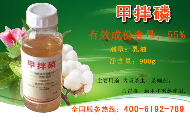 陕西甲拌磷价格|高效甲拌磷批发