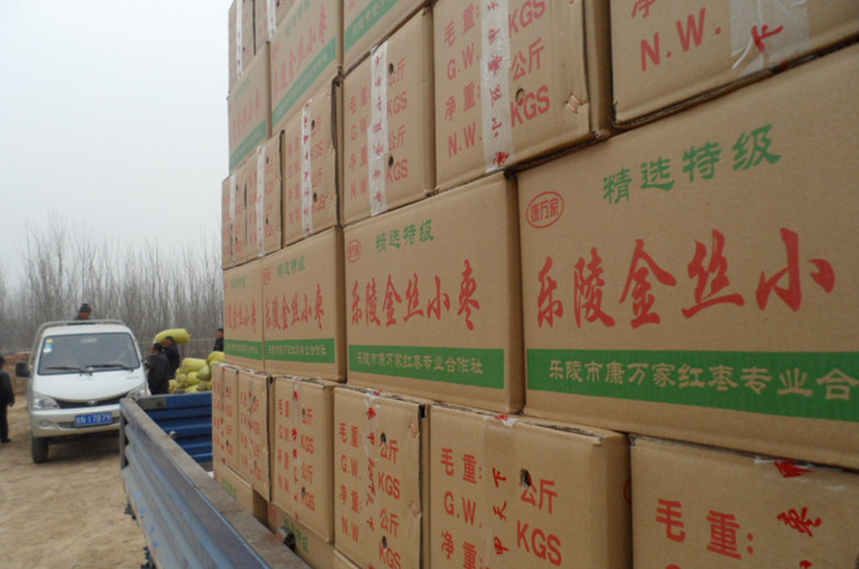 乐陵小枣产地供应厂家  乐陵小枣批发价格  乐陵金丝小枣厂家  山东金丝枣产地