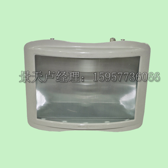 海洋王NSC9720金卤灯  海洋王9720