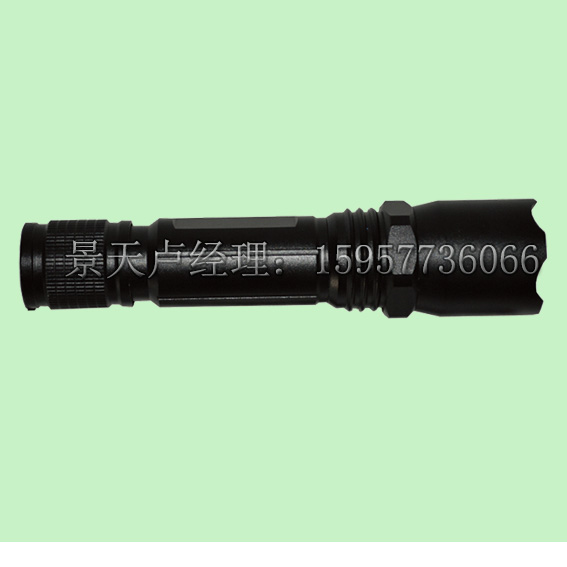 海洋王JW7300B,微型防爆电筒,JW7300B