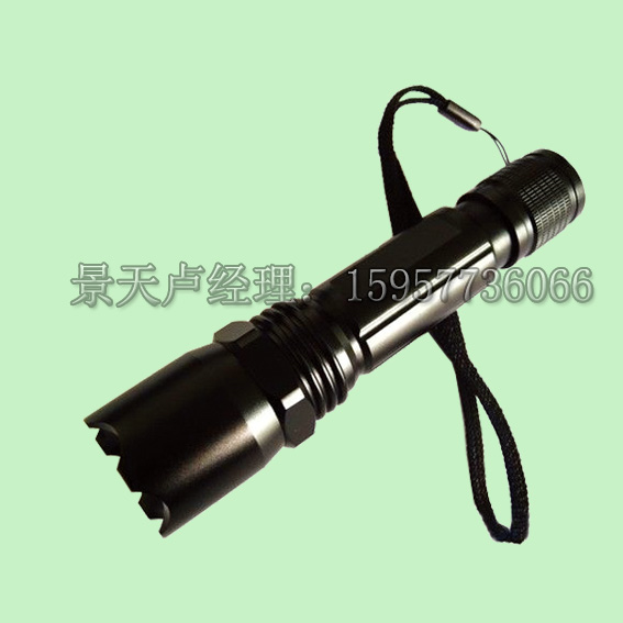海洋王JW7300B,微型防爆电筒,JW7300B