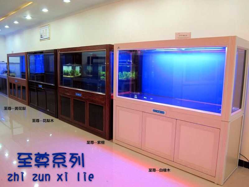 济南鱼缸订制