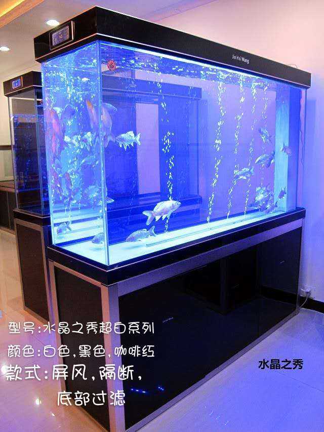 济南专业上门清洗鱼缸