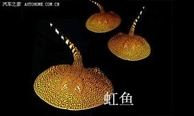 济南历下区虎鱼销售
