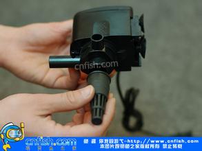 济南水族用品专业销售