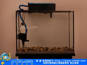 济南水族箱过滤桶