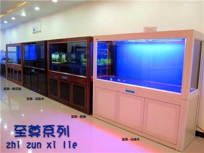 济南专业上门清洗鱼缸