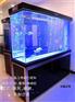济南水族箱生产厂家