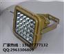 50wled防爆泛光灯,led防爆灯50w