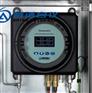 Condumax II 烃露点分析仪