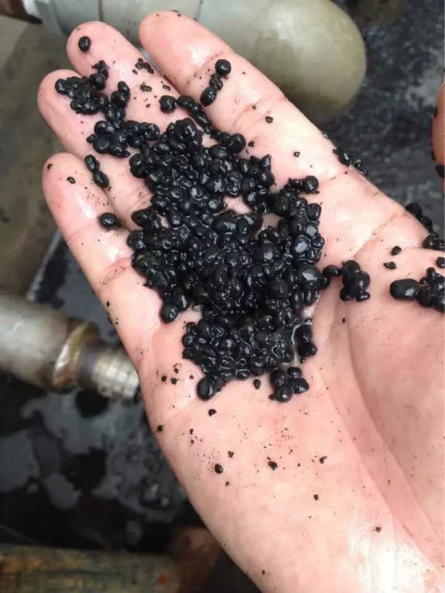 淀粉厌氧颗粒污泥活性污泥菌种  淀粉污水  污水处理