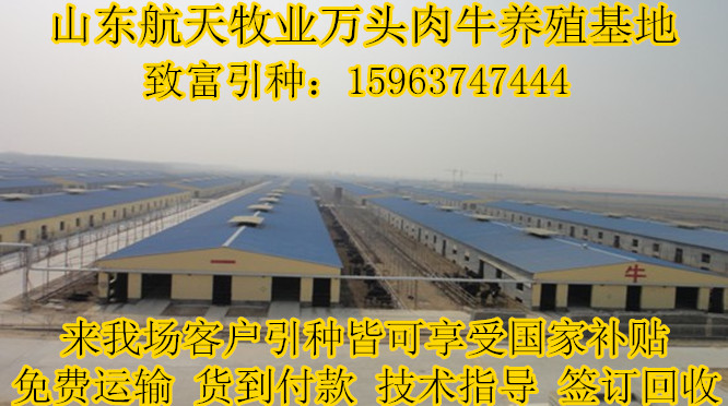 嘉祥县航天牛羊养殖场
