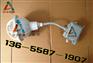 防水防尘防腐金卤灯FAD-S-L70W/220V WF1