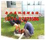 宁波宁海环卫所抽粪安全环保