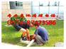 宁波甬江新区环卫抽粪清理生化池