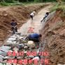 五绞覆塑固滨笼价格 厚镀锌固滨笼 防洪固滨笼护坡