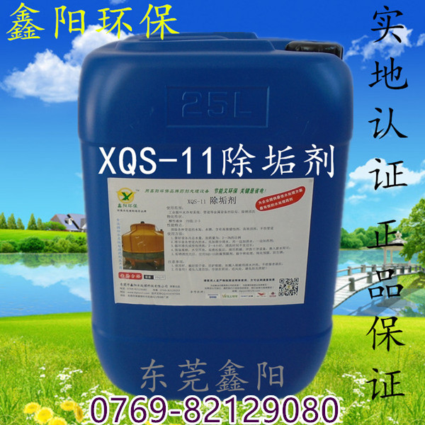除垢剂 www.dgxyscl.com 除垢剂 www.dgxyscl.com
