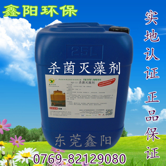 杀菌灭藻剂 www.dgxyscl.com