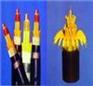 阻燃控制电缆ZRA-KVV报价 国标电缆