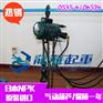 RHL-2800p气动葫芦报价【发动机生产线用气动葫芦】