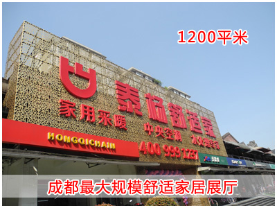 成都泰杨科技有限公司