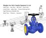 FIG.BSA1波纹管截止阀
