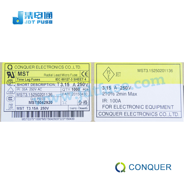 Conquer/功得 方形慢断MST3.15 3.15A  一次性保险丝  方形插件  方形保险丝